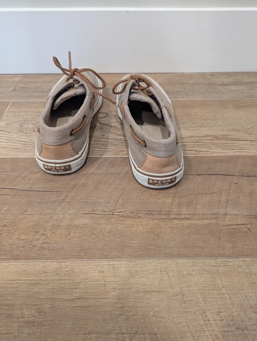 Sperry stylish men